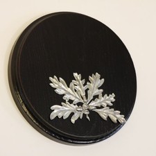 Piastra di Cinghiale Scudo Trofeo Rotondo Scuro Af 13cm Foglie Quercia Copertina