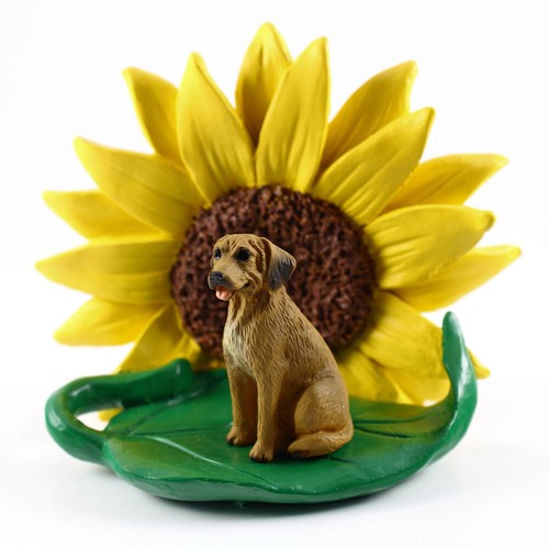 Rhodesian ridgeback sunflower - ridgeback,