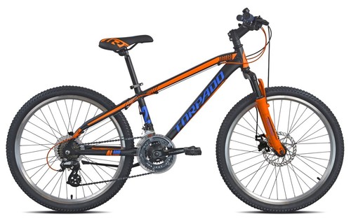 Bici ragazzo mtb torpado - 24",