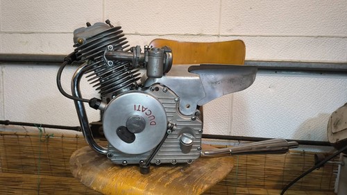 Cucciolo ducati - cucciolo, 60