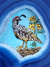 🌳Simone Kunzle Svizzera