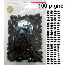 100 pigne di ontano filtro acquario caridine discus ciclidi sostanze umiche pH