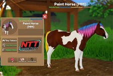 Wild Horse Islands - CAVALLO