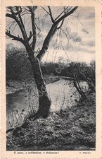 Postcard trees and stream