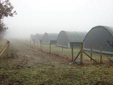 Photo 6x4 Track past