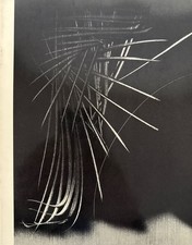 Hans Hartung. Hartung, Hans