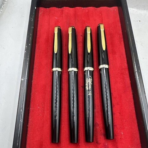 Reform calligraph fountain pen - calligraph,