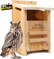 Casetta gufi per esterni