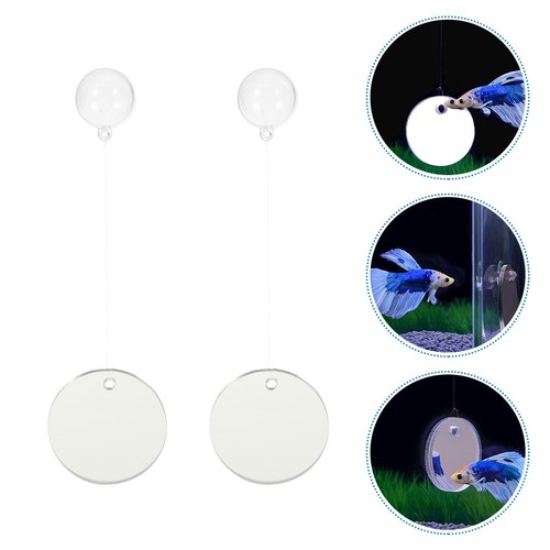 Sets acquario accessori - ,