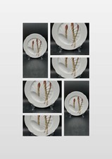 6 Piatti porcellana Società Ceramica Richard servizio serie ASPARAGI inizio 1900