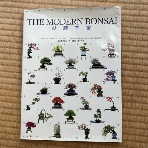 Universo bonsai moderno - bonsai,