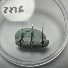 Rolex Boy Hands set for