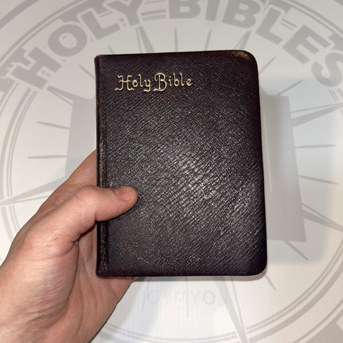 Holy bible kjv - bible,