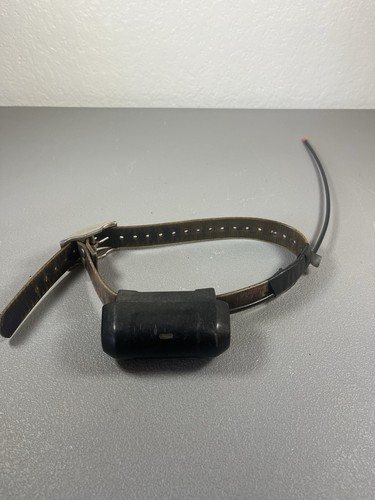 Garmin dc40 gps - garmin,