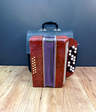 Fisarmonica strumento musicale