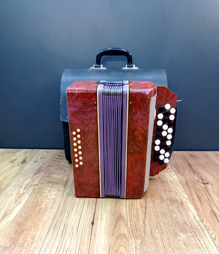 Fisarmonica strumento musicale