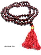 Tulsi Rosso Tulasi Krishna