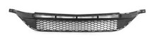 GRIGLIA PARAURTI ANTERIORE
