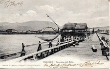 C 313 - Viareggio 1906