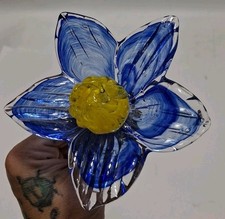 😍 Vetro Stelo Lungo