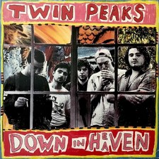 Twin Peaks ‎– Down In