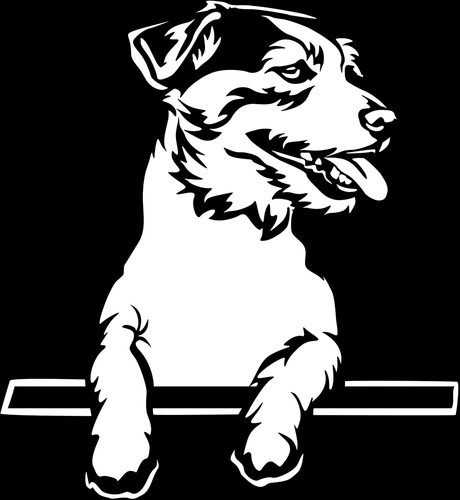 Adesivo jack russell terrier - jack,
