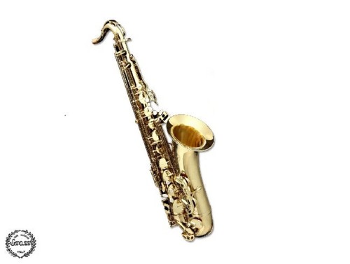 Usato grassi sal700 sax - usato,