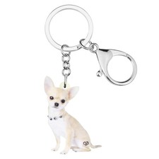 Adorabile Seduto Chihuahua