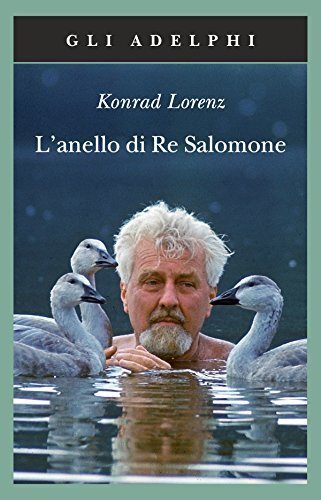 Anello re salomone - di,