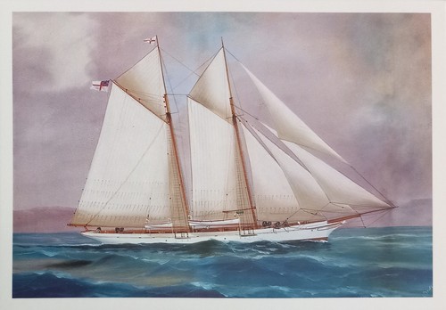Cartolina veliero galetta - cartolina,