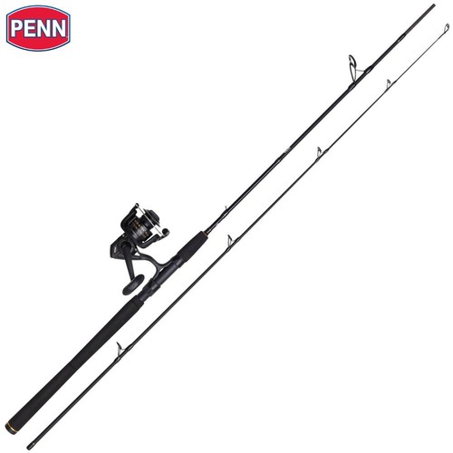 Penn canna spinning pesca - da,