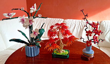 LEGO Botanicals: Orchidea - Bonsai Di Acero Rosso - Albicocco Giapponese