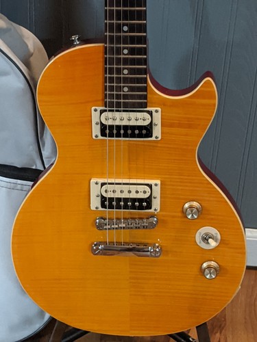 Epiphone slash afd les paul - epiphone,