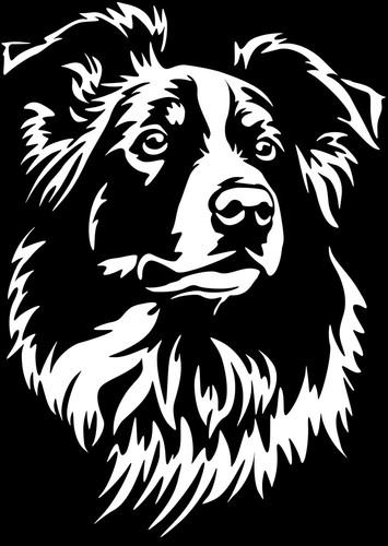 Adesivo border collie - collie,