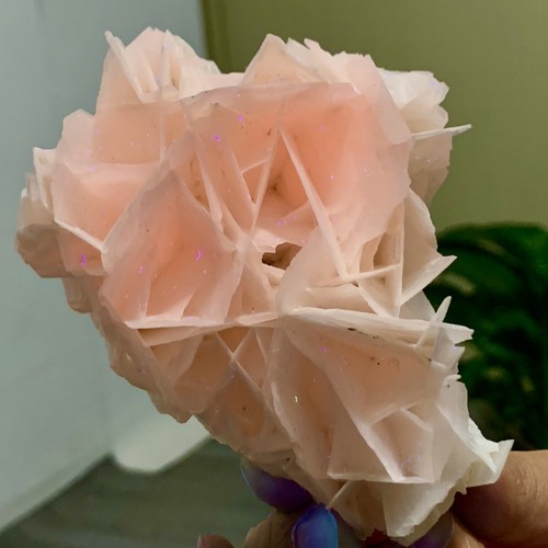 330g petalo naturale rosa - naturale,