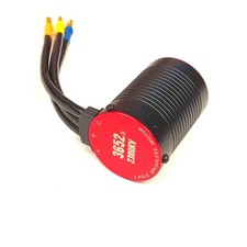 Motore Brushless 1:10 3652
