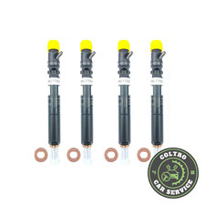 4 Iniettori DELPHI RENAULT NISSAN DACIA SUZUKI 1,5 DCI EJBR 01701z EJBR 02101