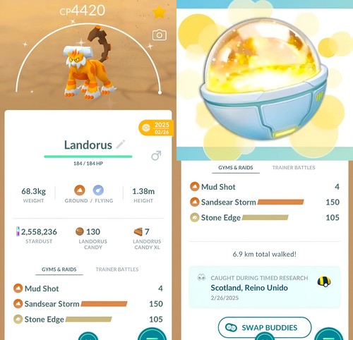 Choice lucky trinket - +,