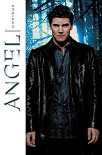 ANGEL OMNIBUS By Peter David &