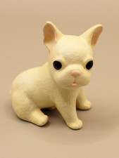 Bulldog francese cane