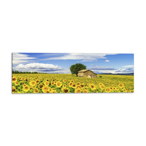 Quadro stampa tela con - stampa,