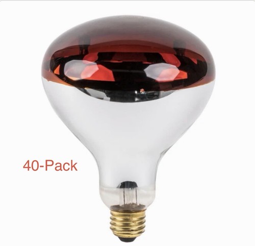 Confezione lampadine lavex - 40,