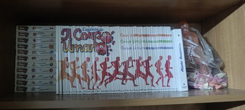 Esplorando corpo umano - corpo,