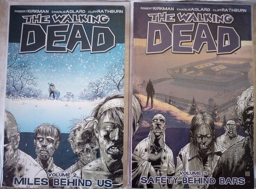 Image comics the walking dead - image,