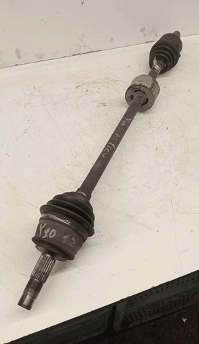 46307890 semialbero ant - semialbero,