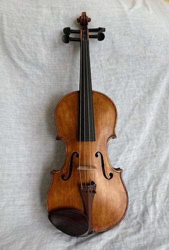 Violino etichettato - 4/4,