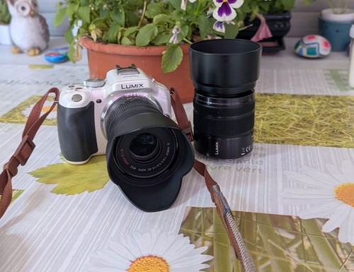 Panasonic lumix dmc - panasonic, g5