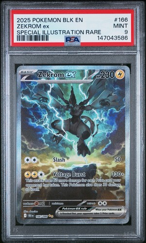 Pokémon zekrom 166 - zekrom, |