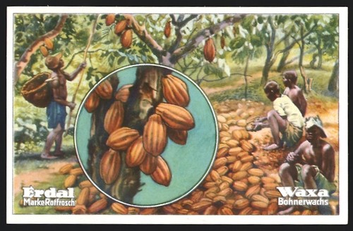 Figurina piantagione cacao - piantagione, di