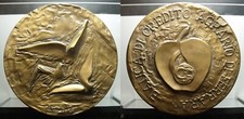 MEDAGLIA BANCA DI CREDITO